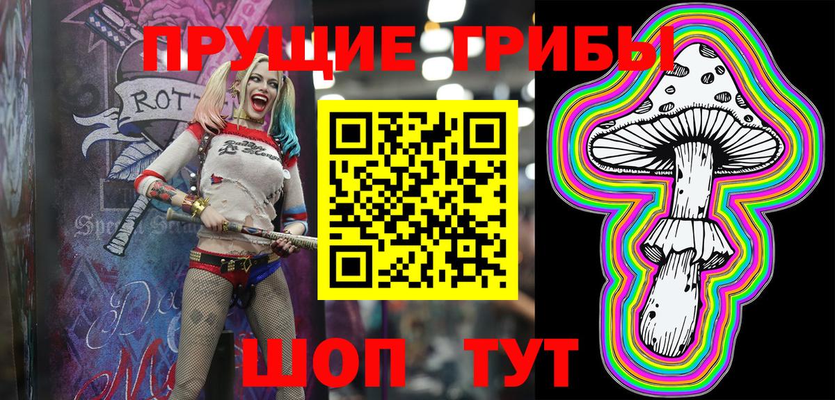 Галлюциногенные грибы мицелий  Псилоцибиновые грибы мицелий  Отрадный  Вход с VPN 