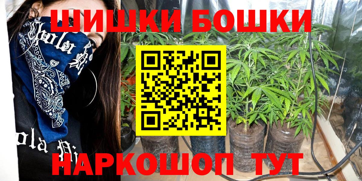Бошки Шишки план  Бошки Шишки планчик  Отрадный  Вход с VPN  Шишки марихуана Ganja 